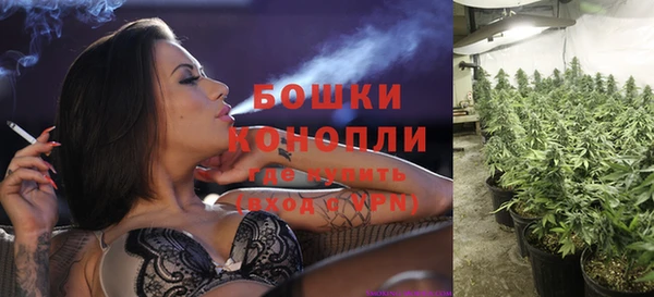 ПСИЛОЦИБИНОВЫЕ ГРИБЫ Белоозёрский