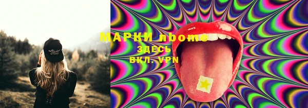 PSILOCYBIN Белокуриха