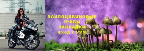 ПСИЛОЦИБИНОВЫЕ ГРИБЫ Белоозёрский