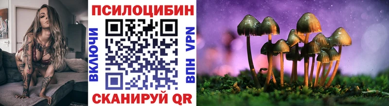 Псилоцибиновые грибы Cubensis  Вуктыл 